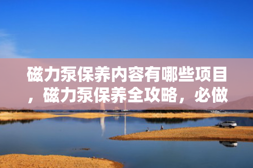 磁力泵保养内容有哪些项目，磁力泵保养全攻略，必做的保养项目及步骤