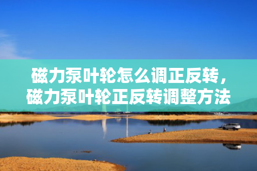 磁力泵叶轮怎么调正反转，磁力泵叶轮正反转调整方法