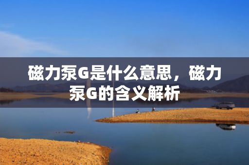 磁力泵G是什么意思，磁力泵G的含义解析