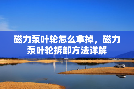 磁力泵叶轮怎么拿掉，磁力泵叶轮拆卸方法详解