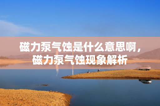 磁力泵气蚀是什么意思啊，磁力泵气蚀现象解析