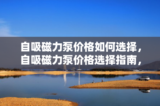 自吸磁力泵价格如何选择，自吸磁力泵价格选择指南，如何找到性价比高的产品