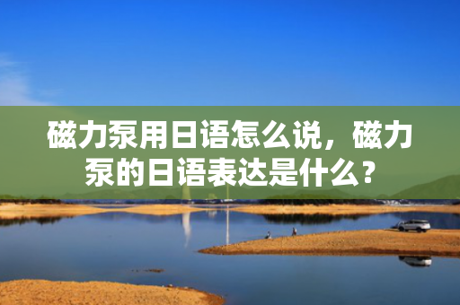 磁力泵用日语怎么说，磁力泵的日语表达是什么？
