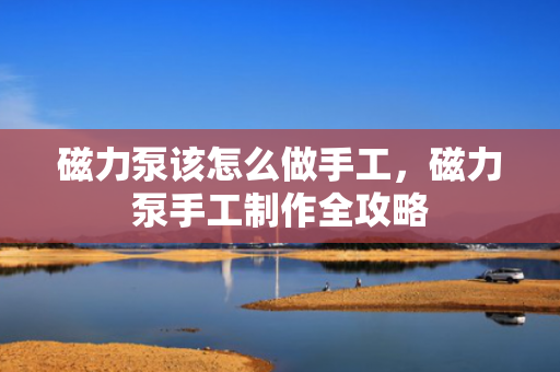 磁力泵该怎么做手工，磁力泵手工制作全攻略