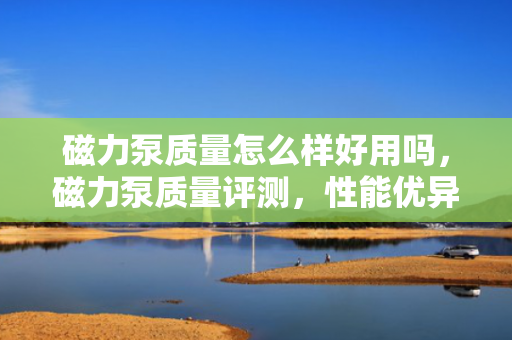 磁力泵质量怎么样好用吗，磁力泵质量评测，性能优异，好用且可靠