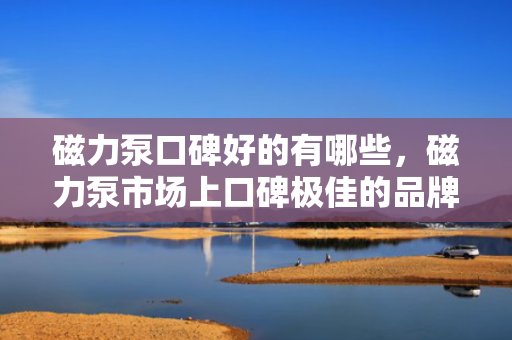 磁力泵口碑好的有哪些，磁力泵市场上口碑极佳的品牌推荐