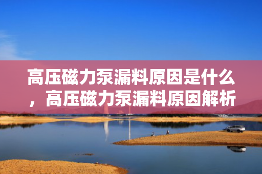 高压磁力泵漏料原因是什么，高压磁力泵漏料原因解析