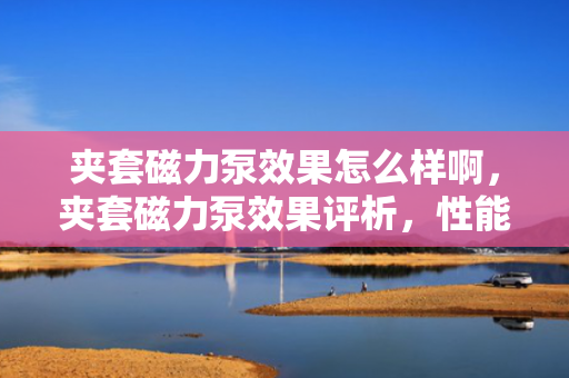 夹套磁力泵效果怎么样啊，夹套磁力泵效果评析，性能与优势一览