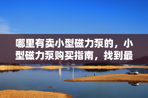 哪里有卖小型磁力泵的，小型磁力泵购买指南，找到最适合你的磁力泵销售点