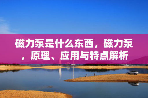 磁力泵是什么东西，磁力泵，原理、应用与特点解析