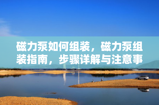 磁力泵如何组装，磁力泵组装指南，步骤详解与注意事项