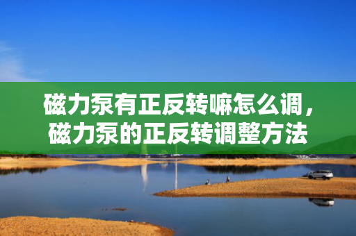 磁力泵有正反转嘛怎么调，磁力泵的正反转调整方法