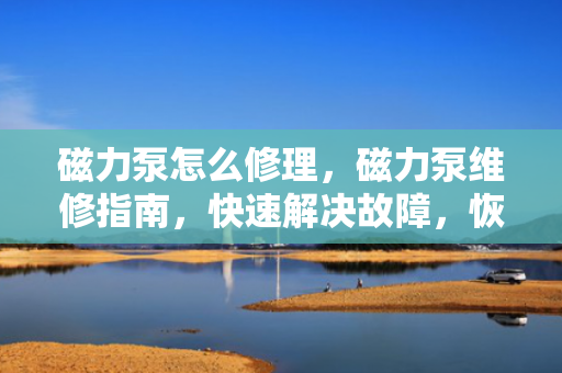 磁力泵怎么修理，磁力泵维修指南，快速解决故障，恢复设备正常运行