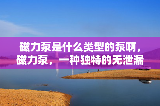 磁力泵是什么类型的泵啊，磁力泵，一种独特的无泄漏泵类型解析