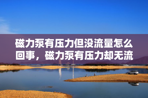 磁力泵有压力但没流量怎么回事，磁力泵有压力却无流量，可能的原因与解决方案