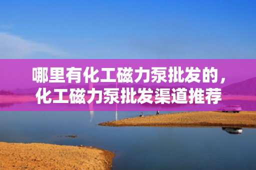 哪里有化工磁力泵批发的，化工磁力泵批发渠道推荐