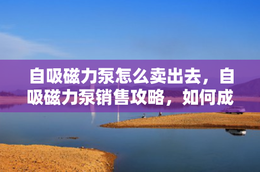 自吸磁力泵怎么卖出去，自吸磁力泵销售攻略，如何成功将产品推向市场