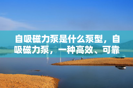 自吸磁力泵是什么泵型，自吸磁力泵，一种高效、可靠的泵型介绍