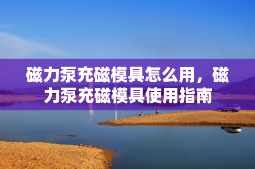 磁力泵充磁模具怎么用，磁力泵充磁模具使用指南