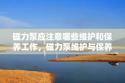 磁力泵应注意哪些维护和保养工作，磁力泵维护与保养要点