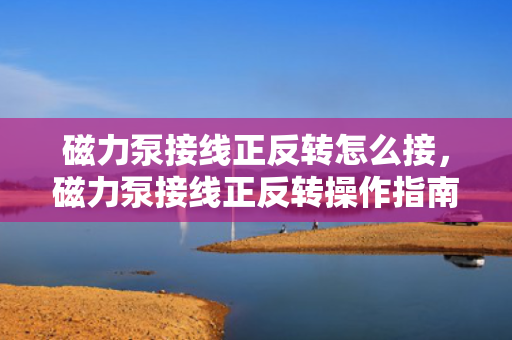 磁力泵接线正反转怎么接，磁力泵接线正反转操作指南