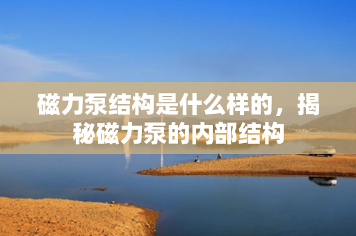 磁力泵结构是什么样的，揭秘磁力泵的内部结构
