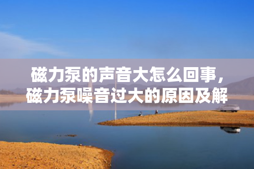 磁力泵的声音大怎么回事，磁力泵噪音过大的原因及解决方法