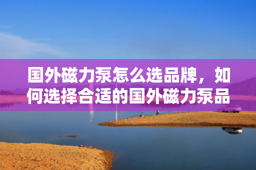 国外磁力泵怎么选品牌，如何选择合适的国外磁力泵品牌
