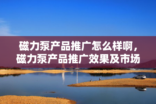 磁力泵产品推广怎么样啊，磁力泵产品推广效果及市场前景分析