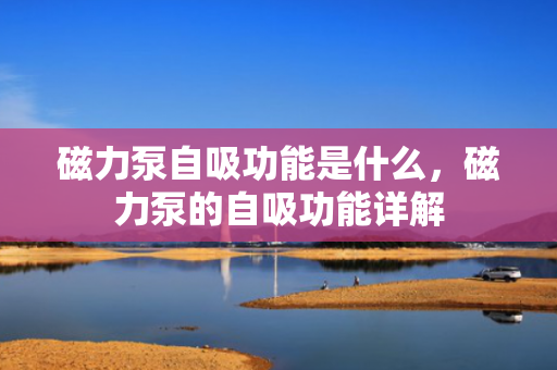 磁力泵自吸功能是什么，磁力泵的自吸功能详解