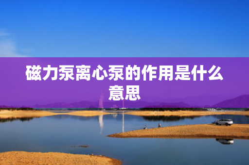 磁力泵离心泵的作用是什么意思