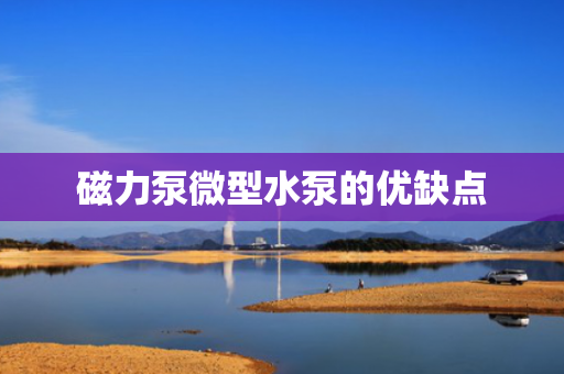 磁力泵微型水泵的优缺点