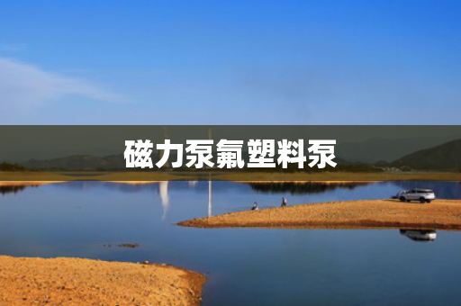 磁力泵氟塑料泵