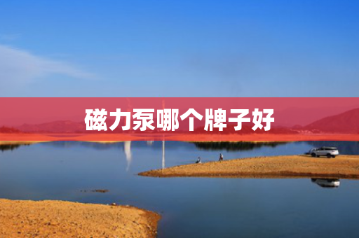 磁力泵哪个牌子好