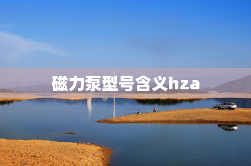 磁力泵型号含义hza