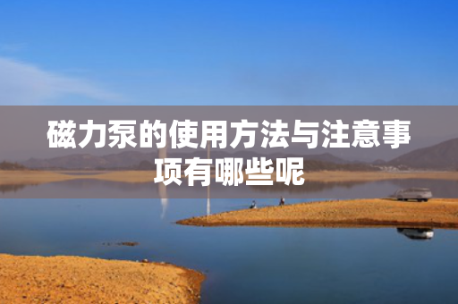 磁力泵的使用方法与注意事项有哪些呢