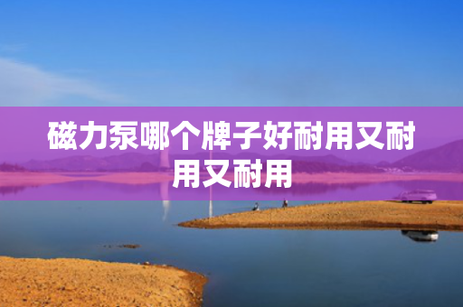磁力泵哪个牌子好耐用又耐用又耐用