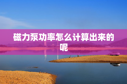 磁力泵功率怎么计算出来的呢
