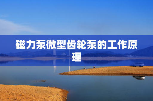 磁力泵微型齿轮泵的工作原理