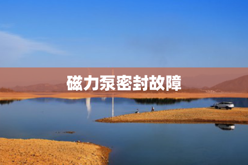 磁力泵密封故障