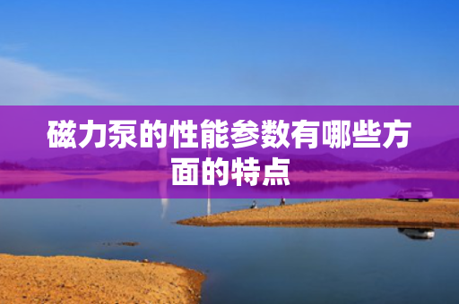 磁力泵的性能参数有哪些方面的特点