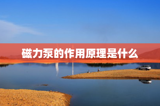 磁力泵的作用原理是什么