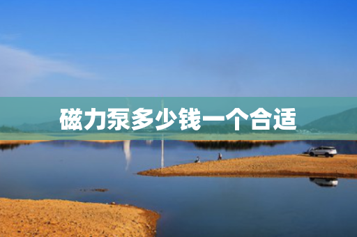 磁力泵多少钱一个合适