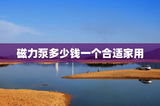 磁力泵多少钱一个合适家用
