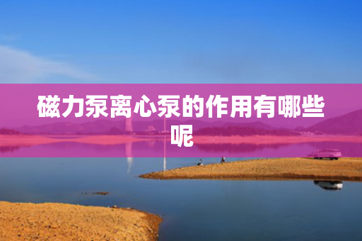 磁力泵离心泵的作用有哪些呢