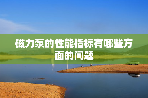 磁力泵的性能指标有哪些方面的问题