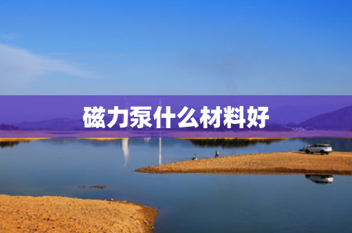 磁力泵什么材料好