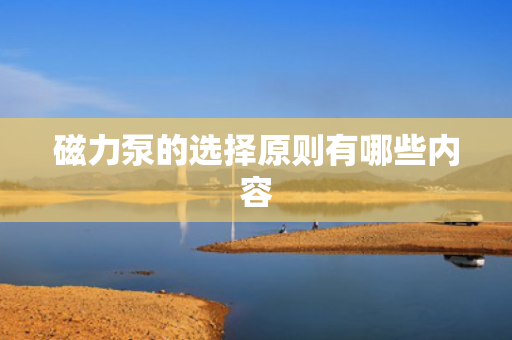 磁力泵的选择原则有哪些内容