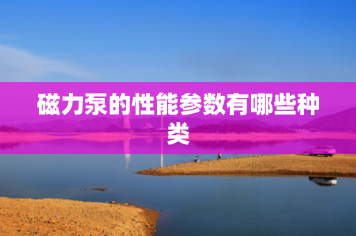 磁力泵的性能参数有哪些种类