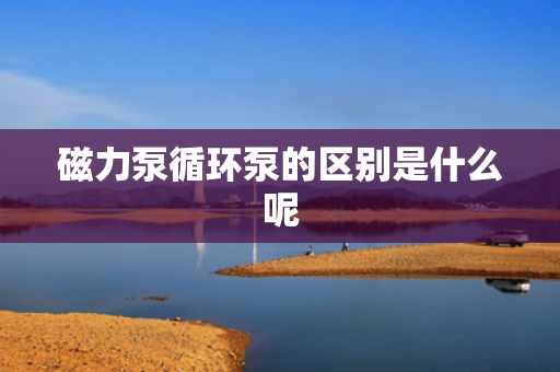 磁力泵循环泵的区别是什么呢